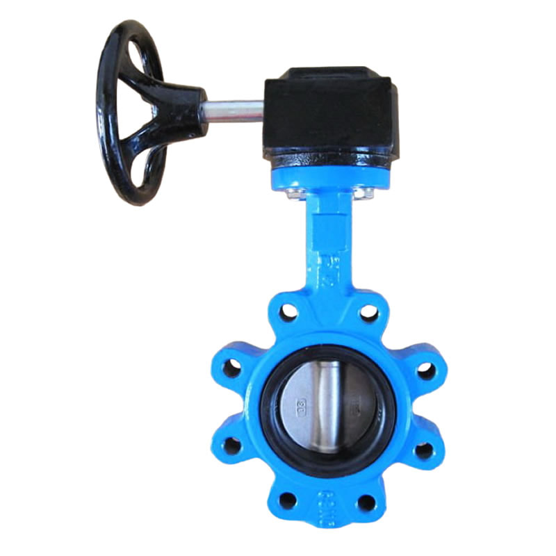 Worm Gear Operated butterfly valve